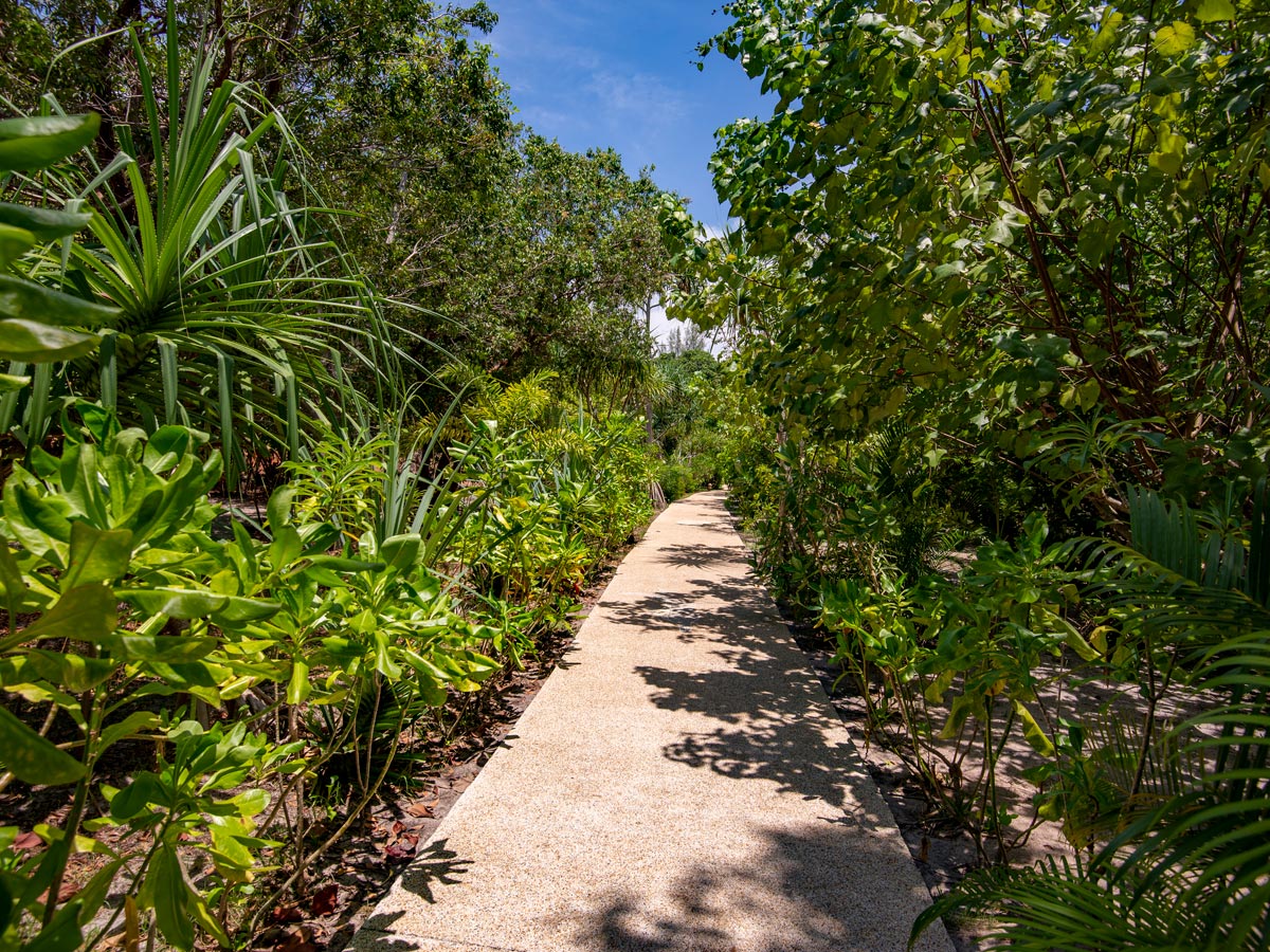 Pathway leading through the resort at Koh Jum Beach Villas