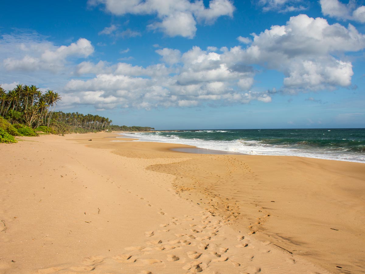 The best of Sri Lanka's South Coast 