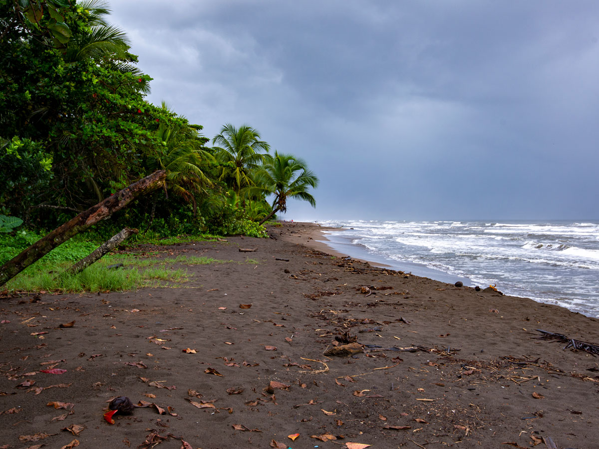 The beach at Tortuguero village, this is where the turtles come ashore to nest.